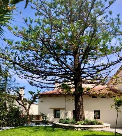 Chorio House Platanias ξενώνας Βρύσες Εξωτερικό φωτογραφία