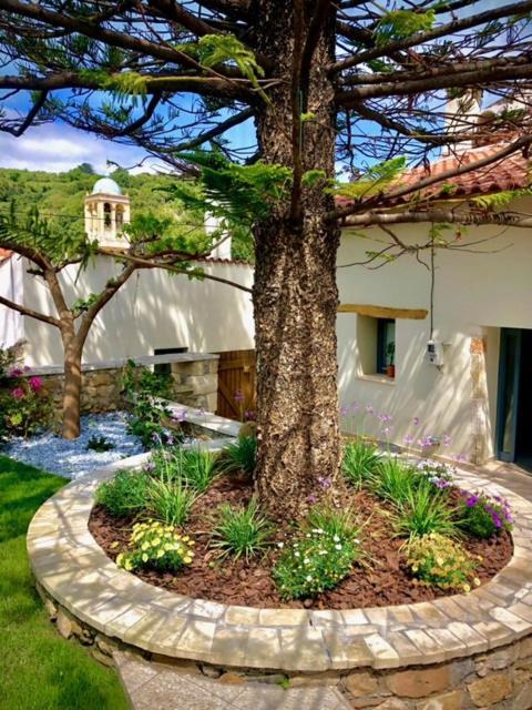 Chorio House Platanias ξενώνας Βρύσες Εξωτερικό φωτογραφία