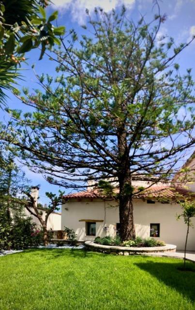 Chorio House Platanias ξενώνας Βρύσες Εξωτερικό φωτογραφία